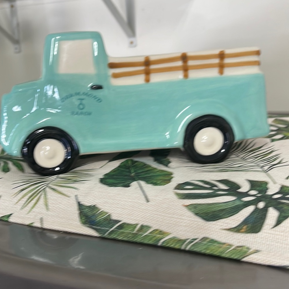Pioneer Woman Ceramic Planter